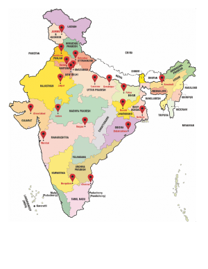 Global Presence - Pharmaceutical Companies in India - Torque ...